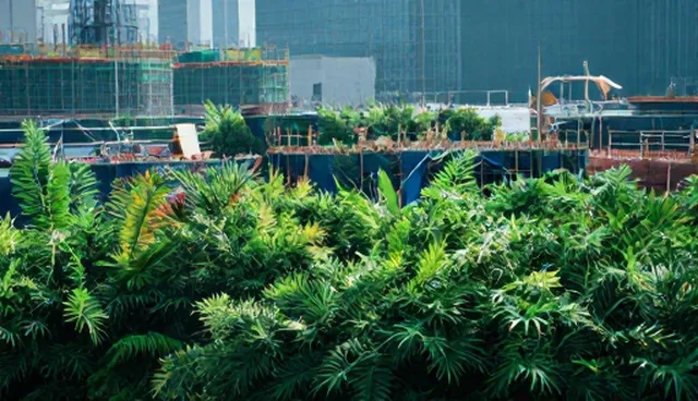 运维服务选型中的应用场景分析与建议